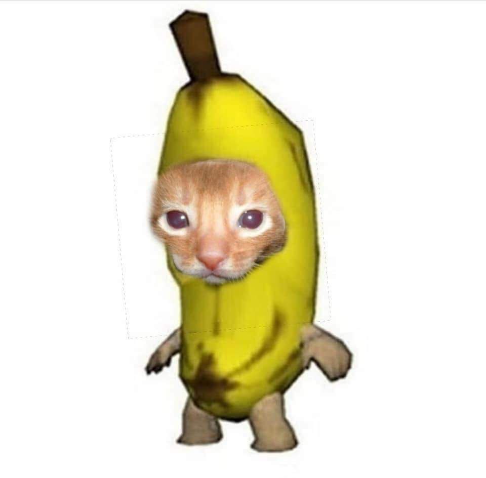 Банан плачет мем. Котик в костюме банана. Кот банан Мем. Котик в костюме банана Мем. Котёнок в костюме бонана.