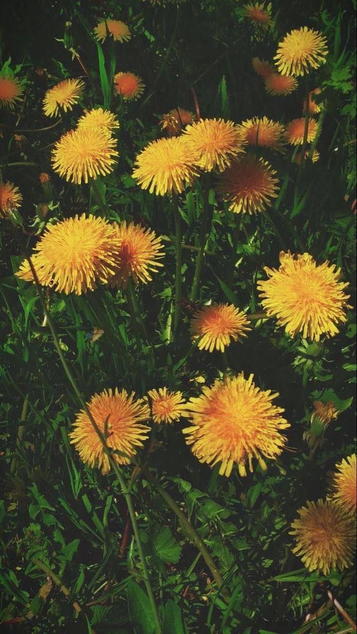 Природа 15