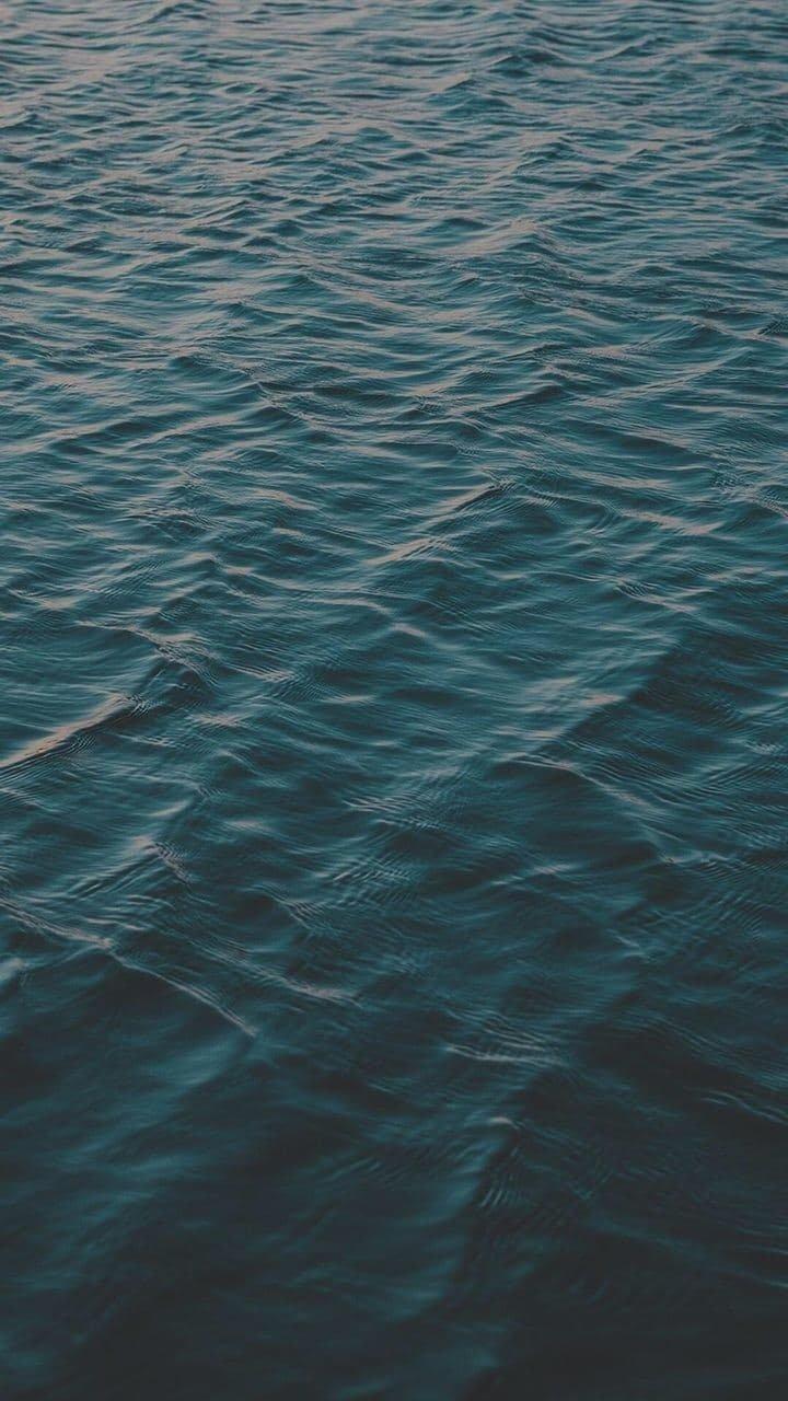 Природа 7
