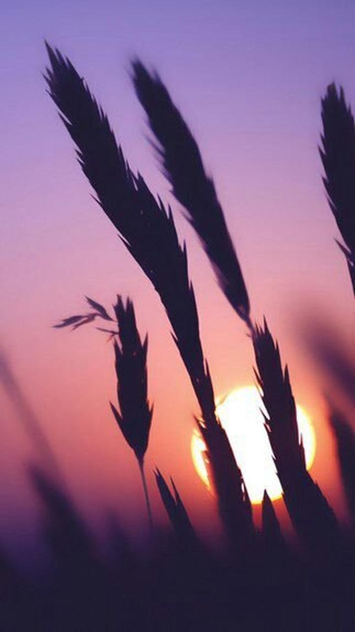 Природа 6