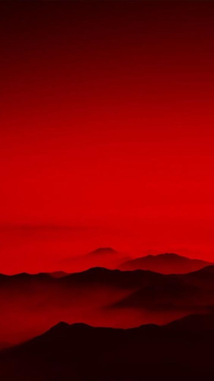 Природа 15