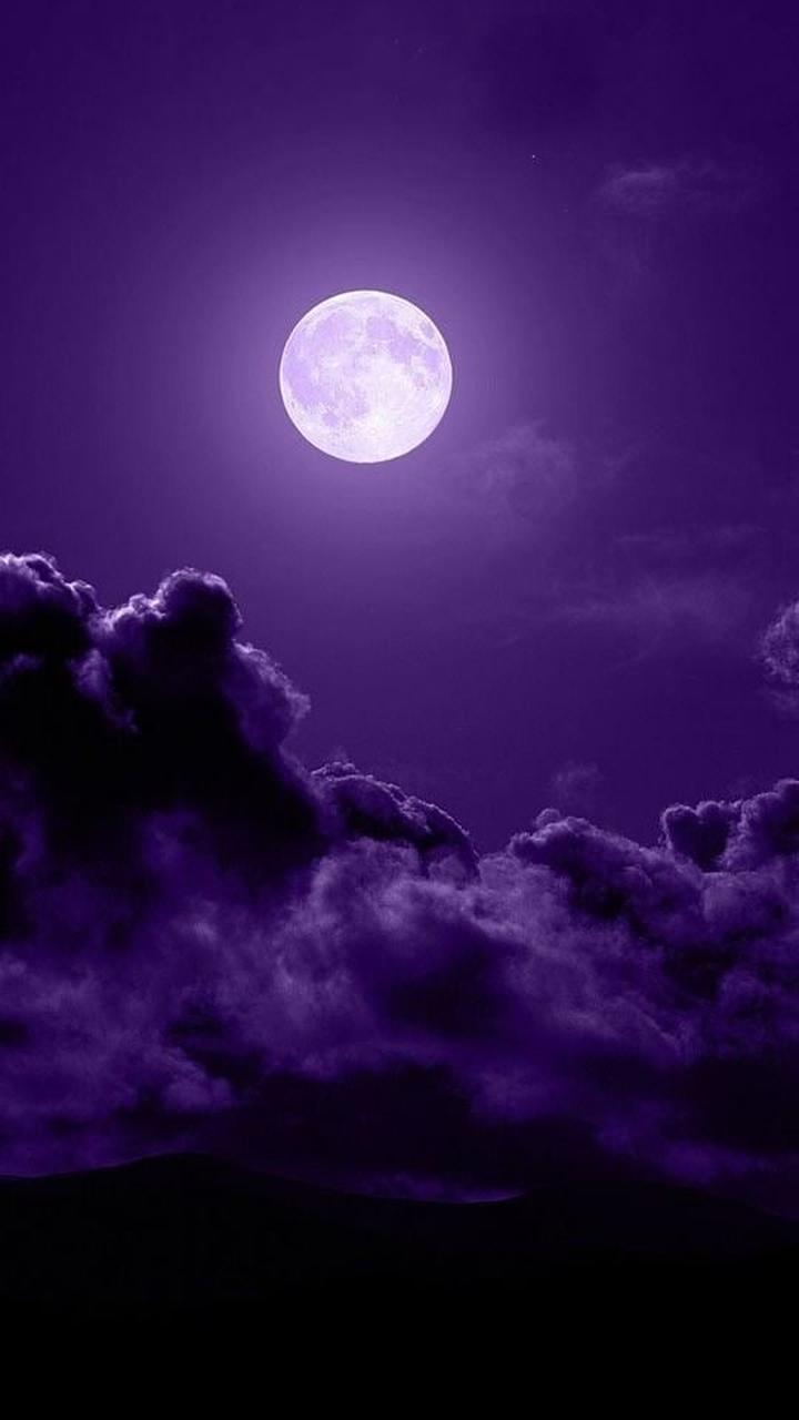 Природа 11