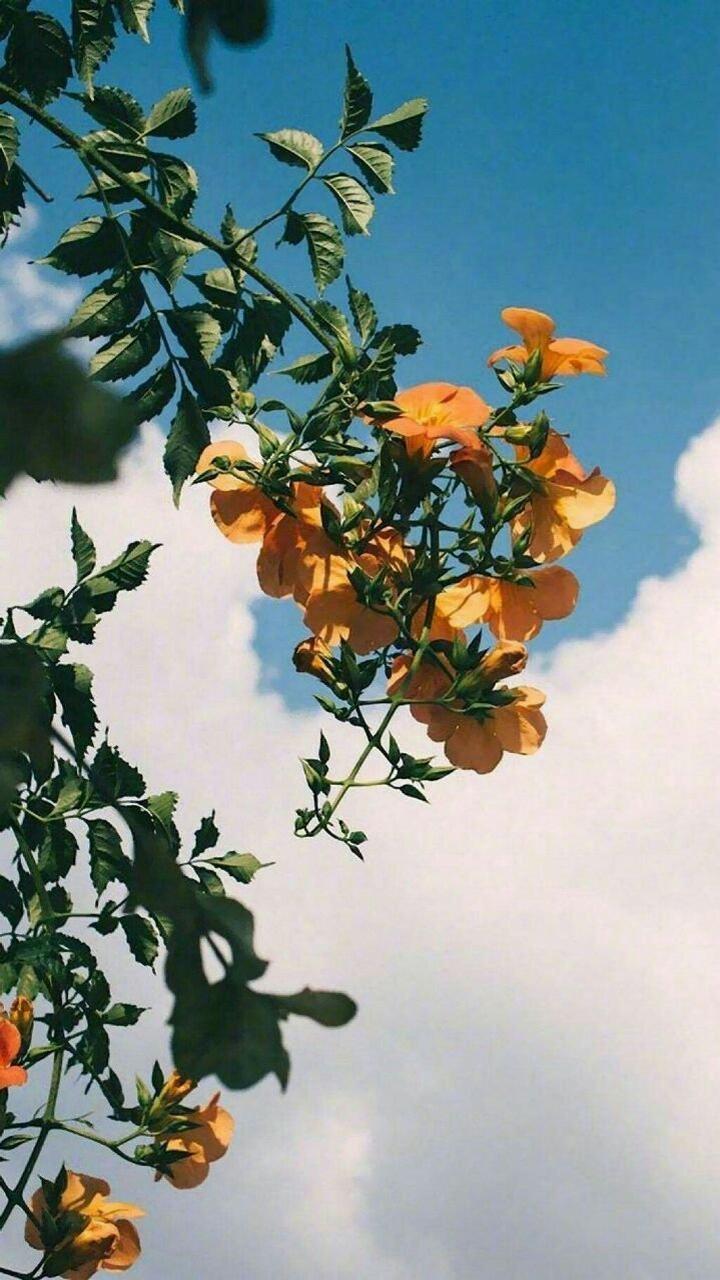 Природа 13