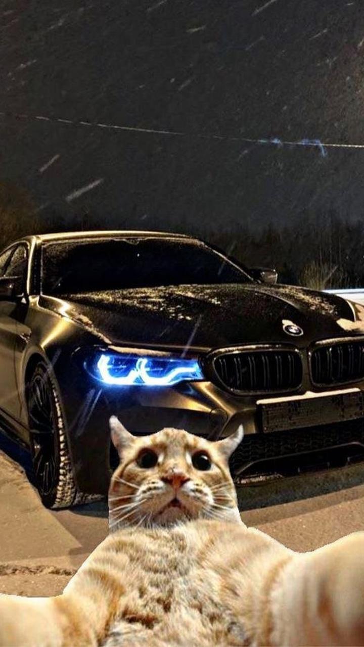 BMW 8