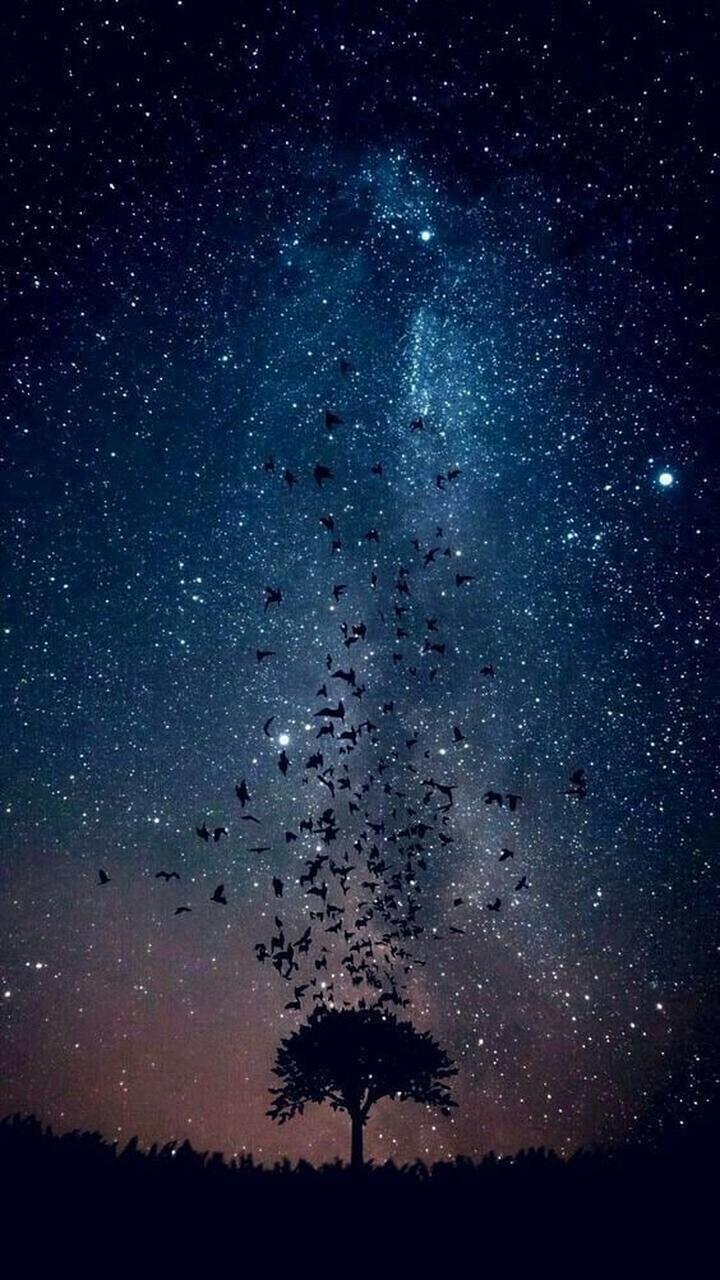 небо 13