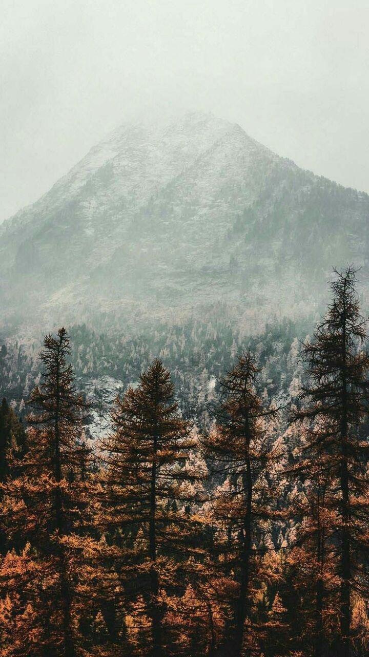 Пейзаж 4