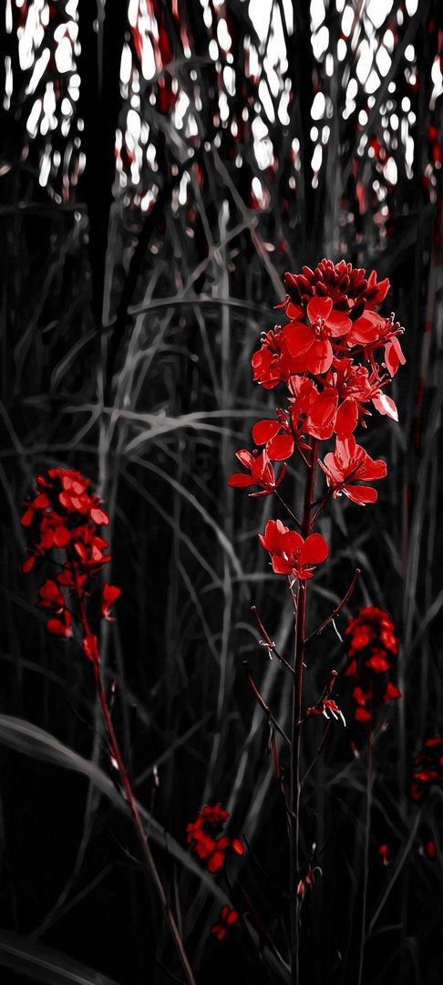 Природа 8