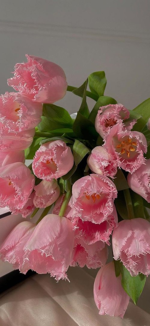 Природа 18