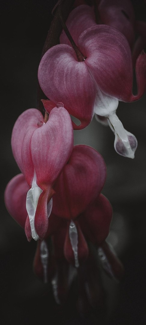 Природа 1